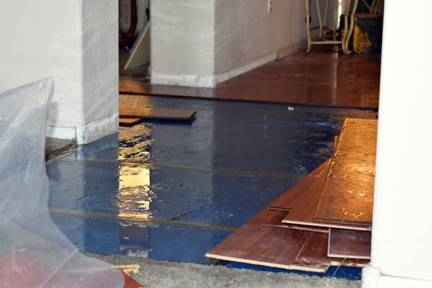 Professional Water Damage Restoration technician working in Corinth, ME